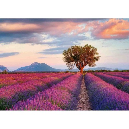 Puzzle Camp De Lavanda, 1000 Piese Ravensburger - 1